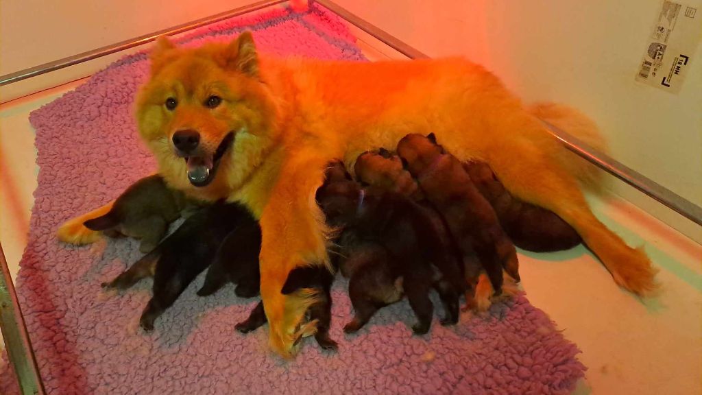 Le 29 octobre 2025, les bébés sont nés !